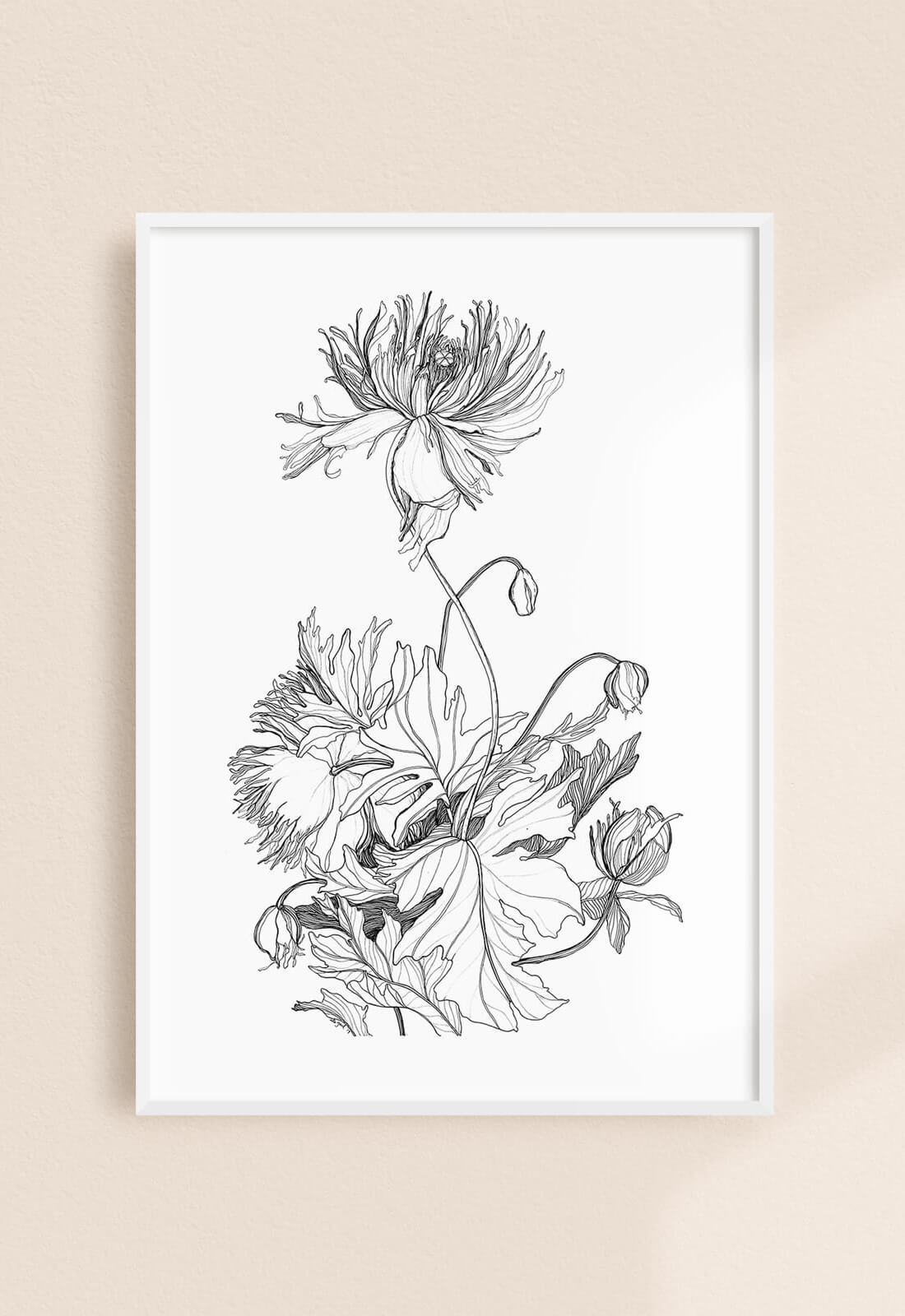 Hand Drawn Botanical Illustration Print - Japanese Poppies - 11x14