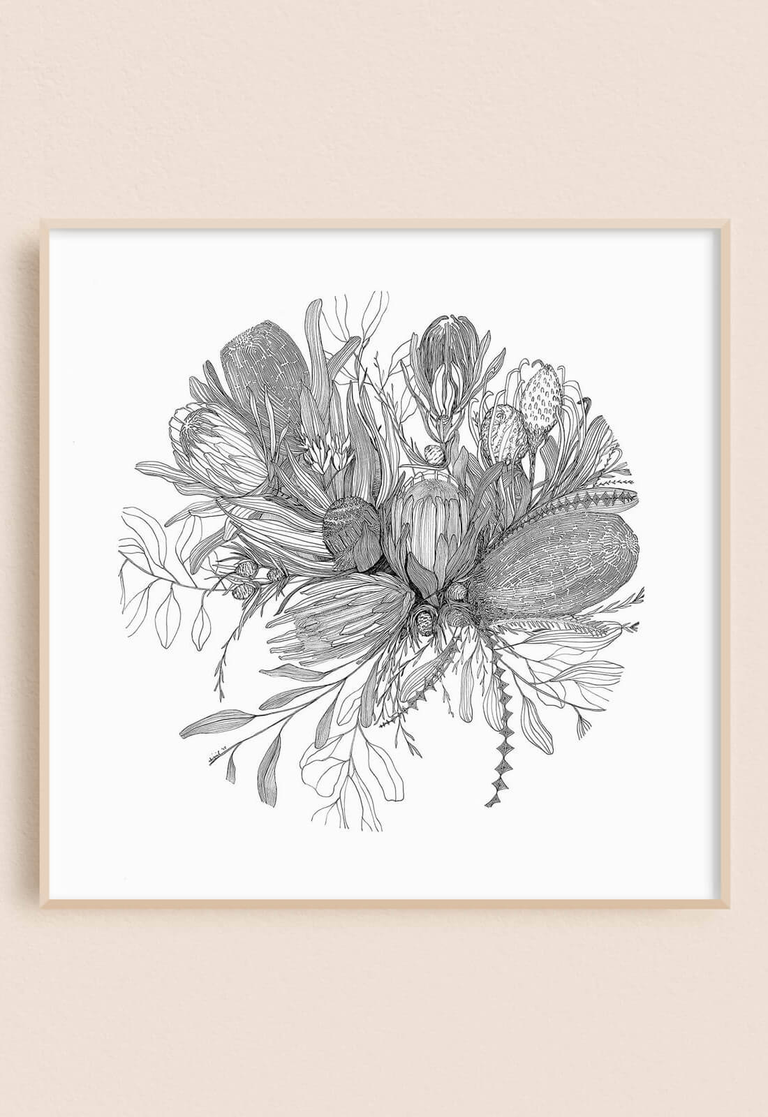 Hand Drawn Botanical Illustration Print - Protea Bouquet - 12x12