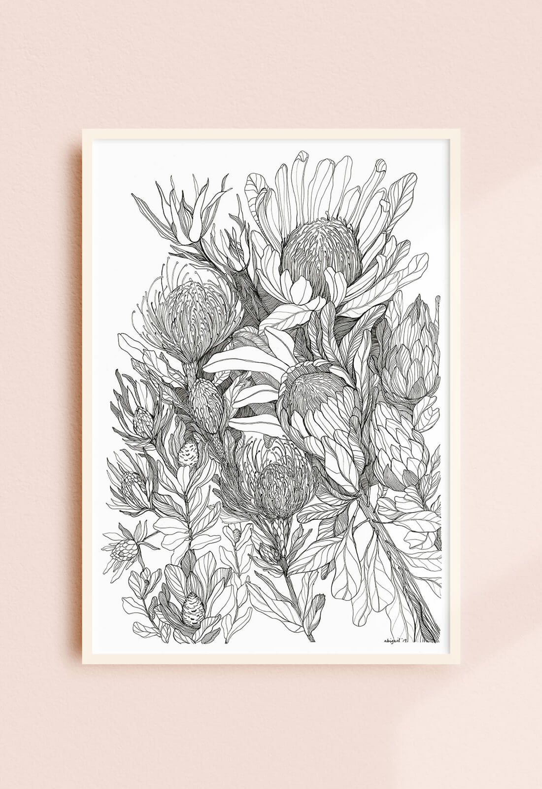 Hand Drawn Botanical Illustration Print - Protea Field - 11x14