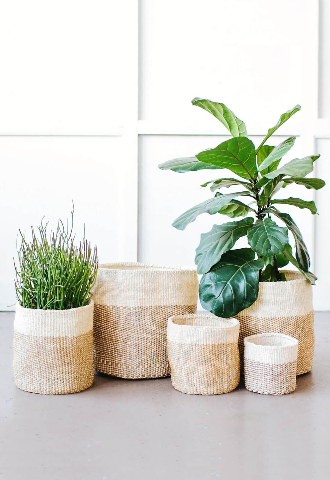 Plant Basket Small Seagrass Planter Baskets for Indoors, Woven Rattan Planters for Tall Indoor Plants with Handles, Wicker Boho Plant Pots