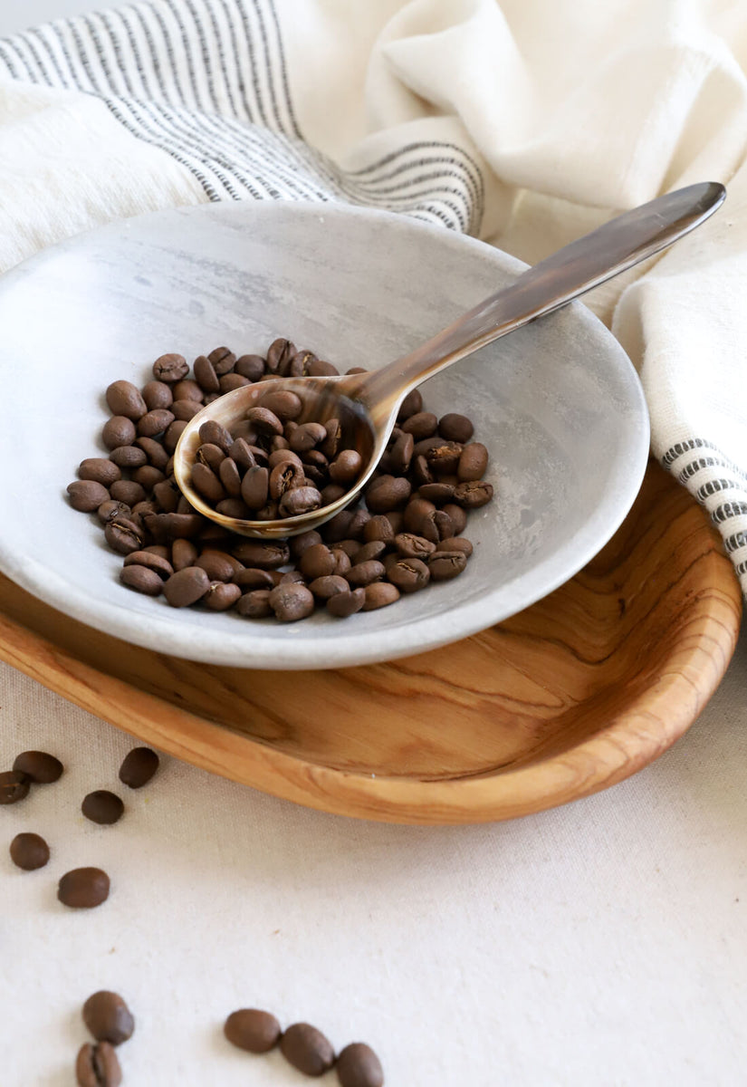 Ankole Cowhorn Coffee Scoop — Zeal Living
