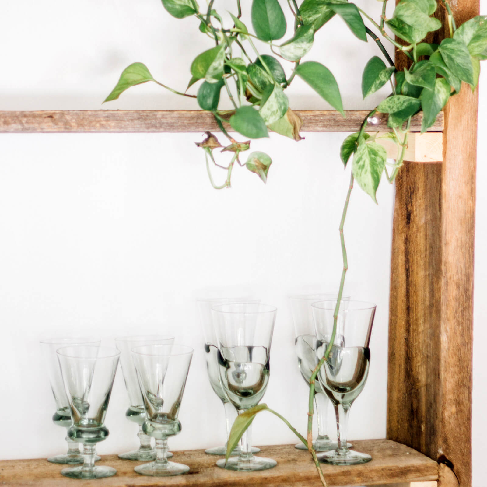 unique recycled glass wine glasses with an olive green tint. Styled on a shelf. 